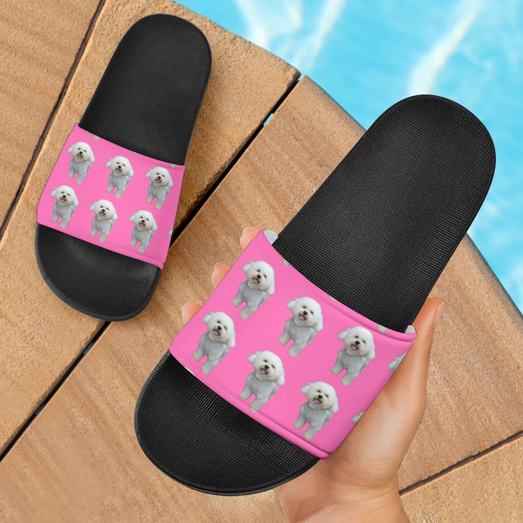 Bichon Slides