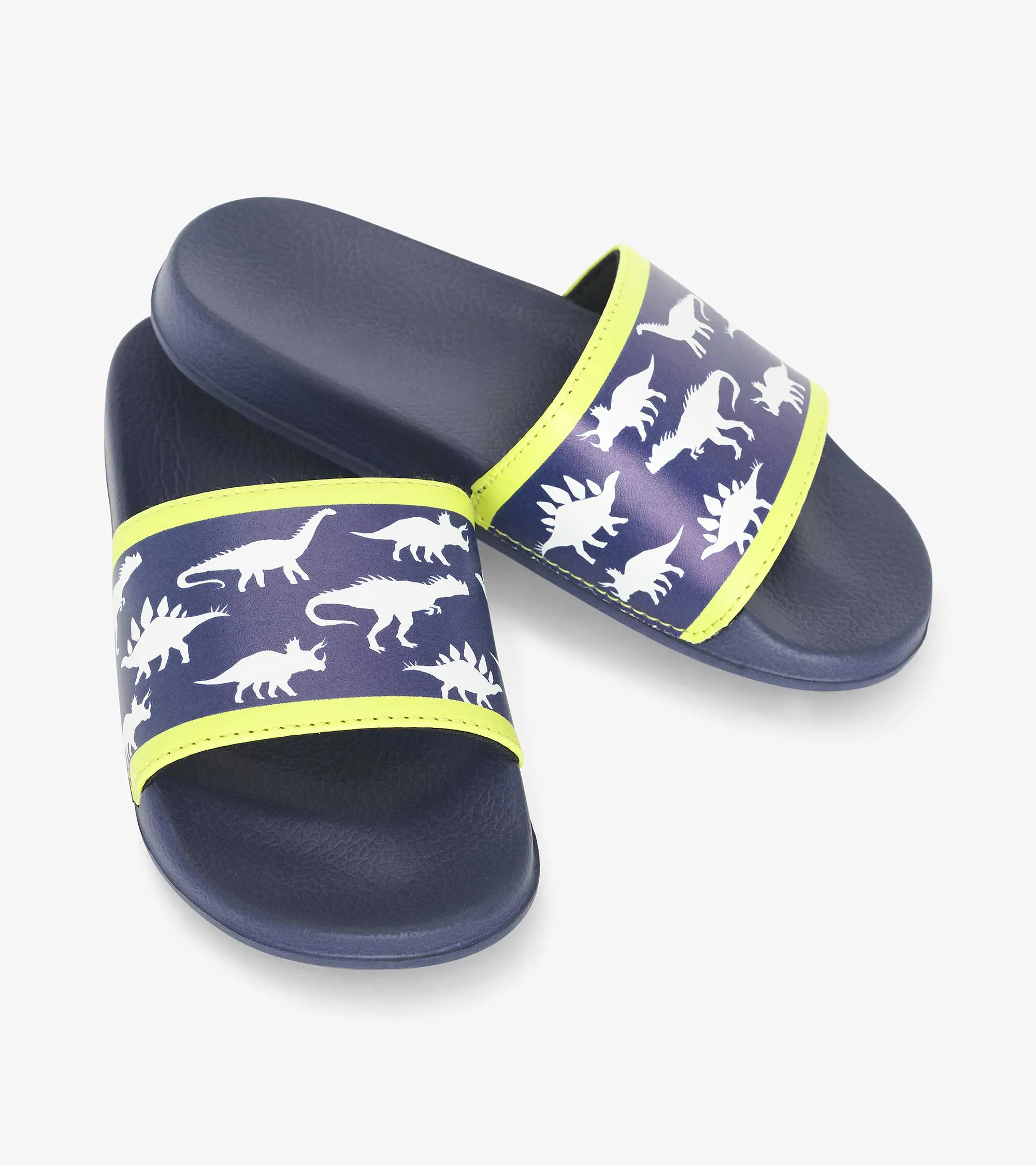 Boys Dino Slides